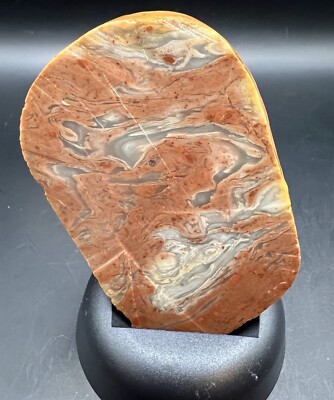 Lake Michigan Jasper Agatized 3.85 Oz. Beautiful Collector Piece