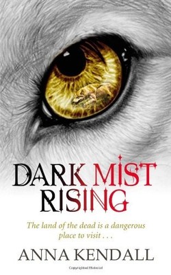 Dark Mist Rising (Soulvine Chronicles),Anna Kendall- 97805750943