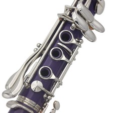Clarinet ABS 17 Key BB Flat Soprano Binocular Clarinet With Cleaning JNFV