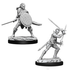 Female Elf Fighter - D D Unpainted Miniatures - Pathfinder Deep Cuts WZK73410
