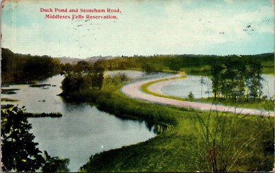 Duck Pond and Stoneham Road, Middlesex Fells Reservation MA c1912 Postcard S63
