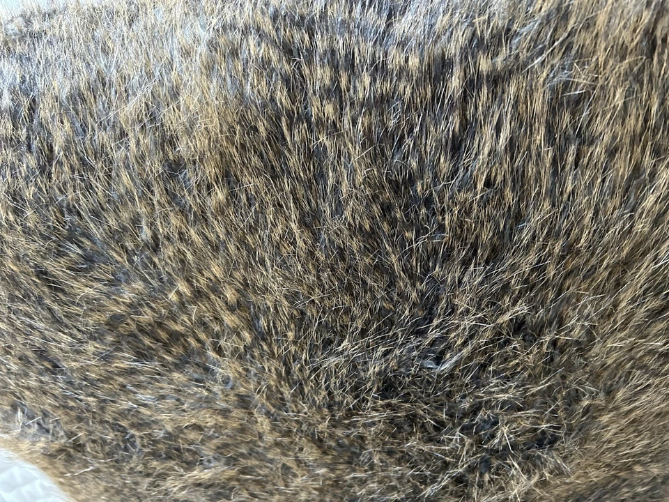 Two Large Fur Like 20”x20”x8” Throw Pillows Duck Down Filled Zipper Closure - Image 2 of 4