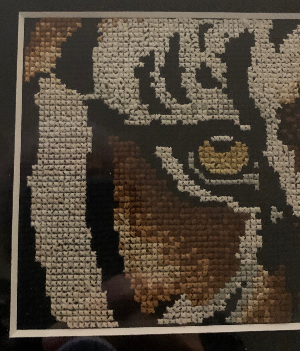 Janlynn Eye Of The Tiger Counted Cross Stitch Completed Janlynn Eye Of The Tiger Counted Cross Stitch Completed