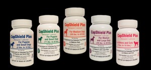 monthly flea pill