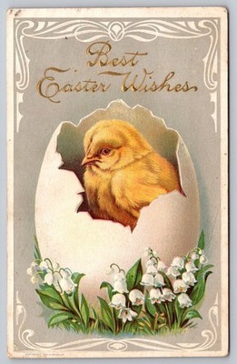 Vintage 1909 Easter Postcard Chick Hatching from Egg with Lilies
