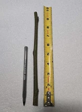 ( 1 )  BROWN TURKEY FIG CUTTING - COLD HARDY 