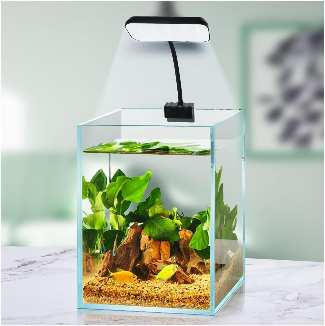Plafoniera LED Acquario Economica e Potente - Regolabile 360° Clip