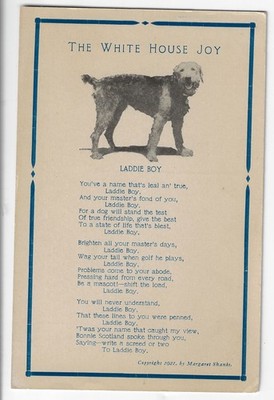 1923 President Warren Harding's Airedale Laddie Boy White House Joy Postcard