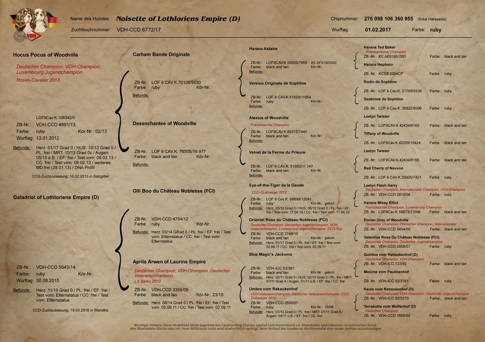 Hunde Software,Zucht,Welpen verkaufen,Ahnentafel,Inzucht,Ahnenverlust,Zuchtwerte - Bild 3 von 4
