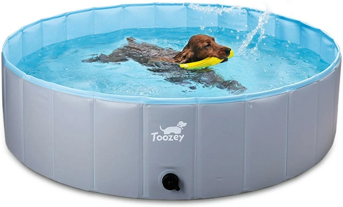 Ebay dog cheap pool