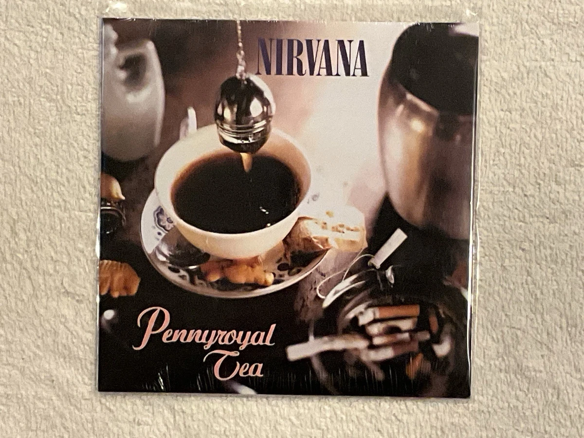 Preços baixos em Discos de Vinil Único de Rock Nirvana | eBay