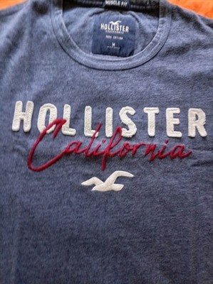 Hollister California T-Shirt Kurzarm Herren Size M Farbe Blau Melange Bestickt