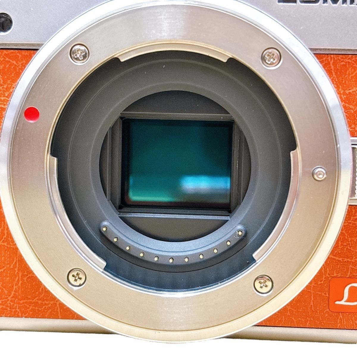 Panasonic Miralles Single-lens Camera Lumix Gf9 Double Prism Panasonic Miralles Single-lens Camera Lumix Gf9 Double Prism