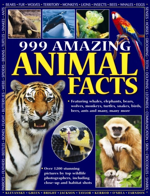 999 Amazing Animal Facts by Armadillo PAPERBACK 9781843229896