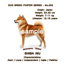 Shiba Inu Dog Poster No.002 | Digital Download | Printable Wall Art | Japanese