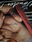 WONDER BOYS -CAST SIGNED - MOVIE POSTER- vintage-w/COA                     ekim — photo 8