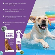 Anti Itch Spray For Dogs Skin Soothing  Deodorizing 100ml Care Pet   R3Q9