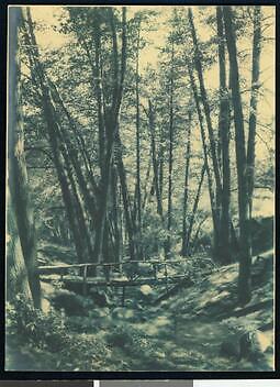 Makeshift Bridge In Los Angeles City Playground Camp Radford Cali - Old Photo
