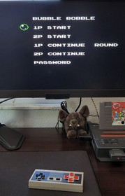 Bubble Bobble (Nintendo Entertainment System, NES, 1988) Authentic!