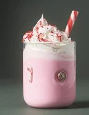 Anthropologie Festive Icon Juice Glass Candy Cane Holiday New In Box! 🎄🧑‍🎄❄️