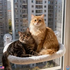 XL Cat Window Perch - Foldable Hammock Bed with Suction Cups, Holds 55lbs, Mesh