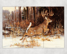 Whitetail deer dense cover Moose wildlife ceramic tile mural backsplash