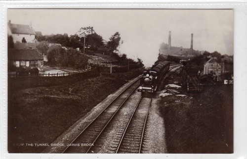 FROM THE TUNNEL BRIDGE, JARVIS BROOK: Sussex postcard with train (C43015)