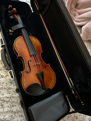 Fiddlershop Holstein Soil Stradivarius Violin 4/4 full outfit 