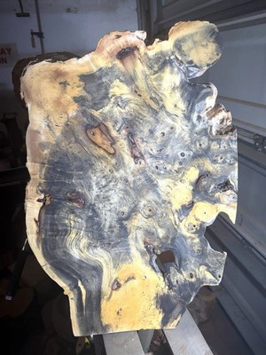 Buckeye Burl Natural Edge Slab Highly Figured 22x15x1.5  Show Piece