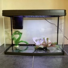 LOVE FISH PANORAMA LED 64 LITRE AQUARIUM COLD WATER OR TROPICAL