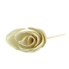 Born to bio - Bâtonnet diffuseur en rotin tulipe - 23 cm