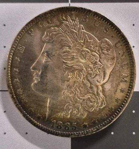 Silver Morgan Dollar 1885 with natural toning.  Beautiful Coin. Great Luster. MS
