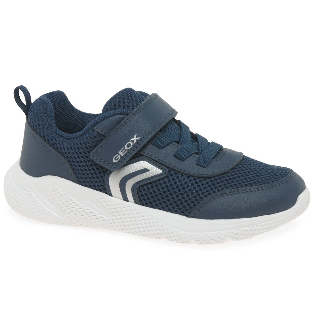 Geox sport trainers 2025