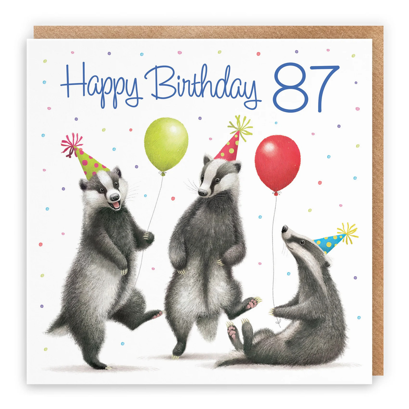 87th Badgers Birthday Card Milo's Gallery