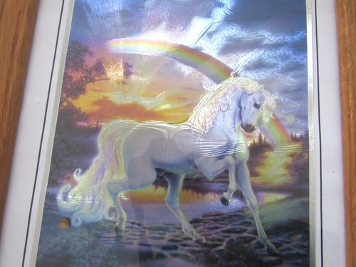Einhorn & Regenbogen Folienkunst Outer Banks North Carolina Souvenir gerahmt 10 x 12 - Bild 3 von 6