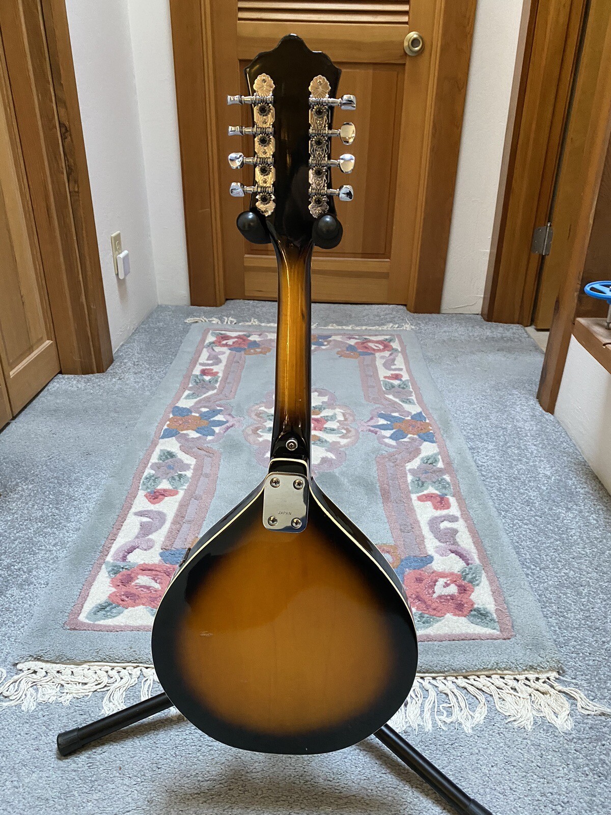 Ibanez 526 electric mandolin eBay
