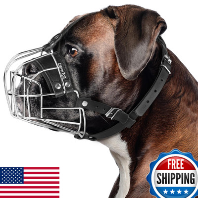 CleverTail Metal Muzzle for Boxer Dog Breed   Bite Proof Boxer Muzzle for Medium