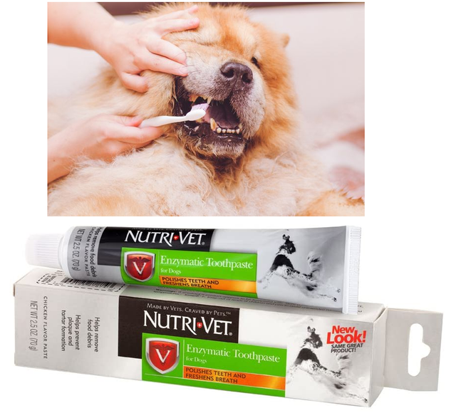 Enzymatic Dog Toothpaste No Foam Dogs Dental Care Pet
