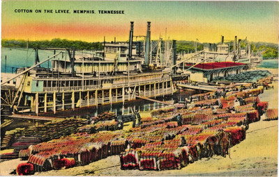 Memphis Tennessee Sternwheeler Loading Cotton Postcard 1950s Levee Scene