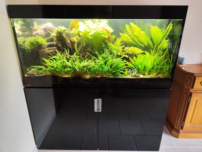 Komplettaquarium 400l mit 2x Led Leisten + Fischen und Pflanzen