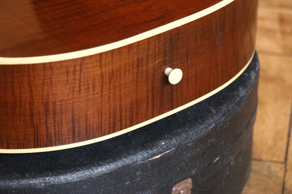 (10 Day Sale) Vintage Levin LG20 + Excellent + OHSC + Pro Setup eBay