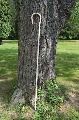 66-69'' Amish Wares Handcrafted Red Oak Steam Bent Shepherd Crook or Hook.