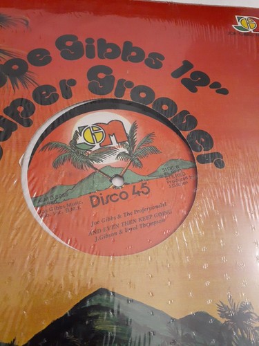 Derrick Laro & Trinity - Don't Stop Till You Get Enough/ Joe Gibbs 12" Vinyl- - Imagen 2 de 5