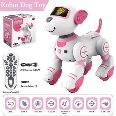 RC Electronic Robot Stunt Dog