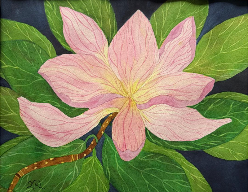 PAINTING WATERCOLOR ART MAGNOLIA FLOWER PINK 11X14 AND DOUBLE WHITE MAT 16X20
