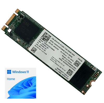 256GB Intel M.2 2280 SATA SSD w Windows 11 Home for Dell Lenovo Acer IBM ASUS