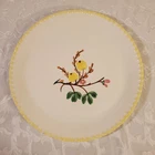 Blue Ridge Southern Pottery 11.5in plate Country Garden Gooseberry pattern vtg