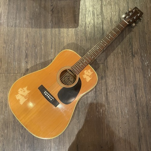 Jagard JD-20 Acoustic Guitar (1970s) (no260211)
