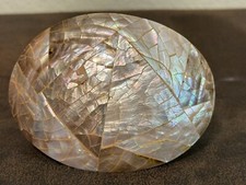 Natural Shell Belt Buckle VTG Tropical Shell World USA Pearlized