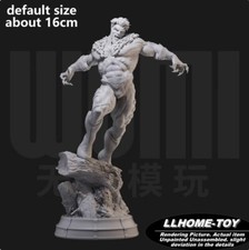 Modellino anime Sabretooth Fang Fight resina stampa 3D GK modello fai da te non dipinto